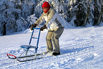 Conduite d'une luge à pousser