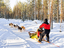 Chaque traîneau est tiré par 6 huskies et vous faites un tour de 12 km pêche sur glace