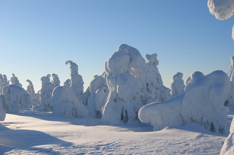 Paysages à couper le souffle dans la région de Rovaniemi, en Laponie finlandaise