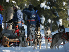 Na een korte uitleg hoe eOn vous apprend comment conduire un traîneau de huskys et après vous partez pour un safari de 15 km