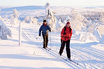 Initiation de ski de fond