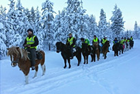 Randonnée en luge avec des chevaux