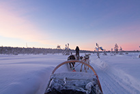 Optioneel: langere huskysafari