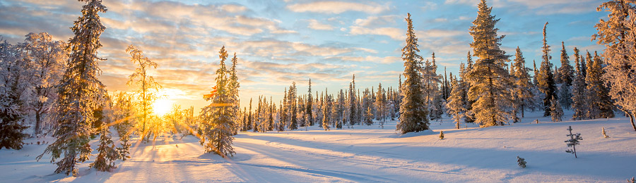 Ruka - Semaine d'Aventures | 8 jours