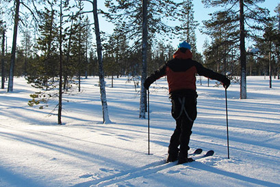 Excursions facultatif - Randonnée avec des skis forestiers