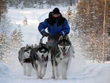 Après une brève explication comment conduire le traîneau, vous partez pour un safari avec des huskys