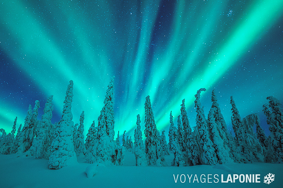 Point d'orgue d'un voyage en Laponie : les aurores boréales, un jeu de lumière spectaculaire aux portes du paradis