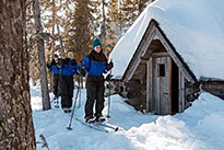 Excursion facultative : Une journée en pleine nature