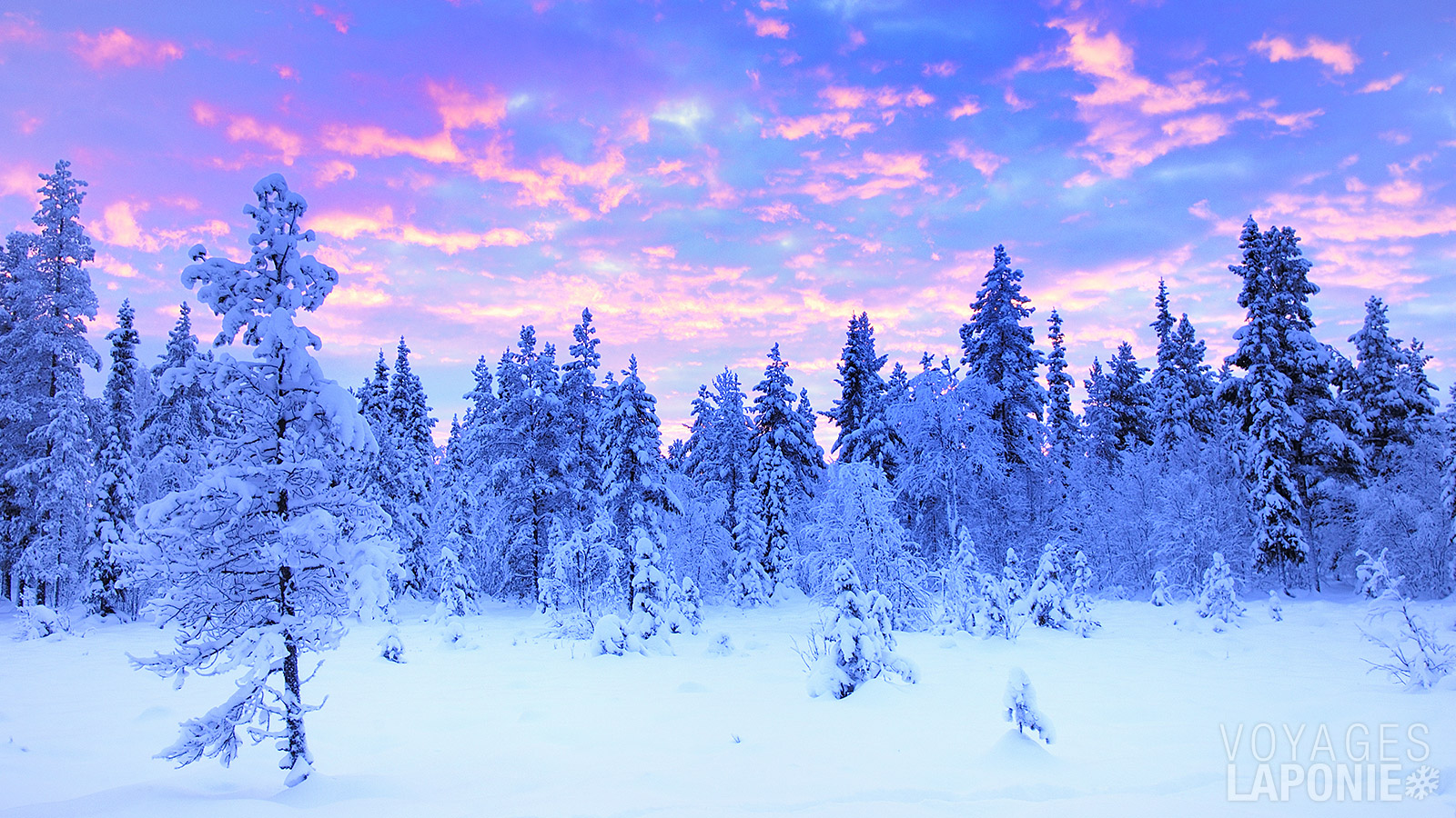 Laissez-vous guider à travers les forêts enneigées et les lacs gelés de la Finlande, où de somptueux paysages s’offrent à vous à chaque instant