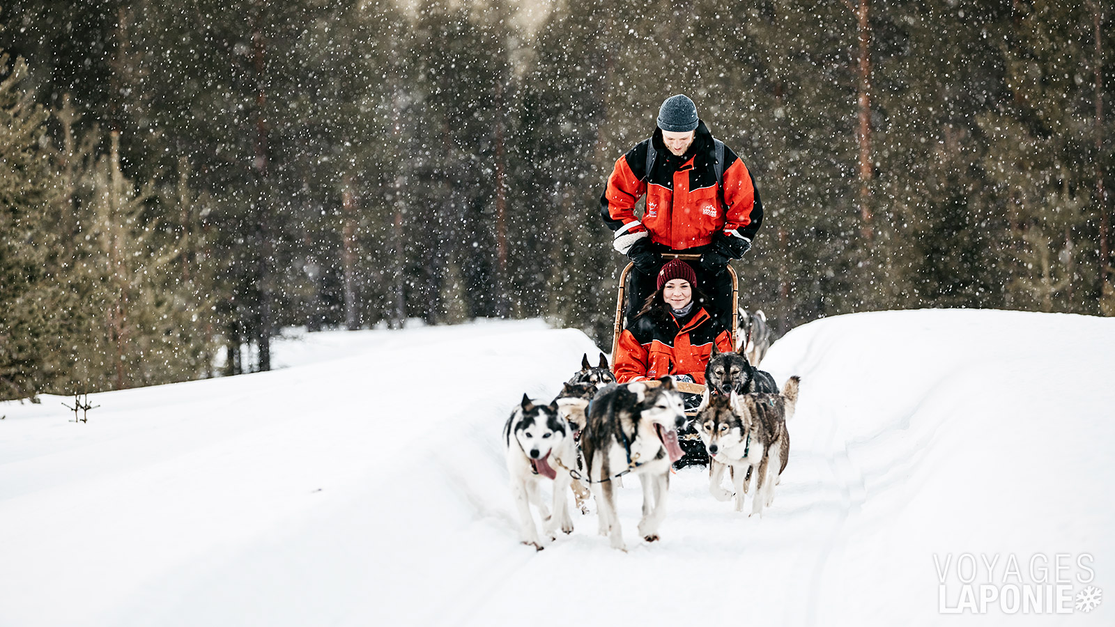 Les chiens vous étonneront par leur endurance exceptionnelle lors d’un safari en traîneau à huskys