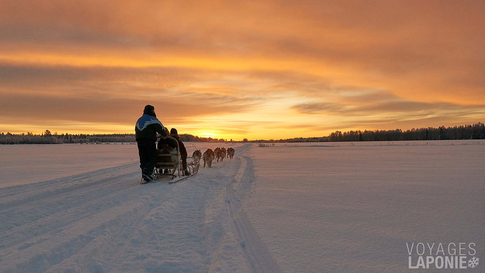 Après une brève explication sur la conduite du traîneau à huskys, vous partirez en safari dans la nature suédoise