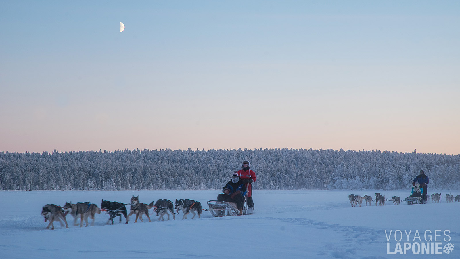 Après une courte introduction, les huskys seront prêts à vous emmener pour une excursion à travers de magnifiques paysages