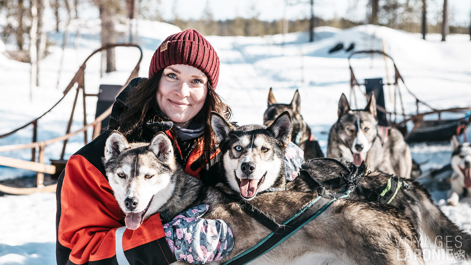 Après une rencontre avec les huskys, vous recevrez une brève explication sur la manière de conduire le traîneau