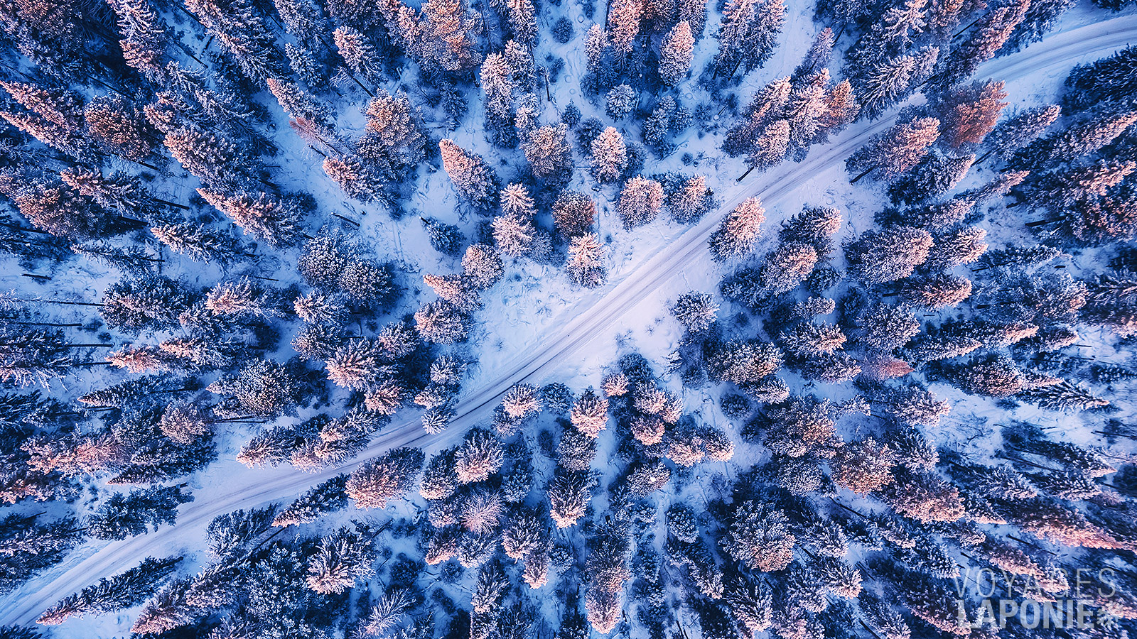 Une excursion en motoneige à travers la nature finlandaise vous offre un immense sentiment de liberté