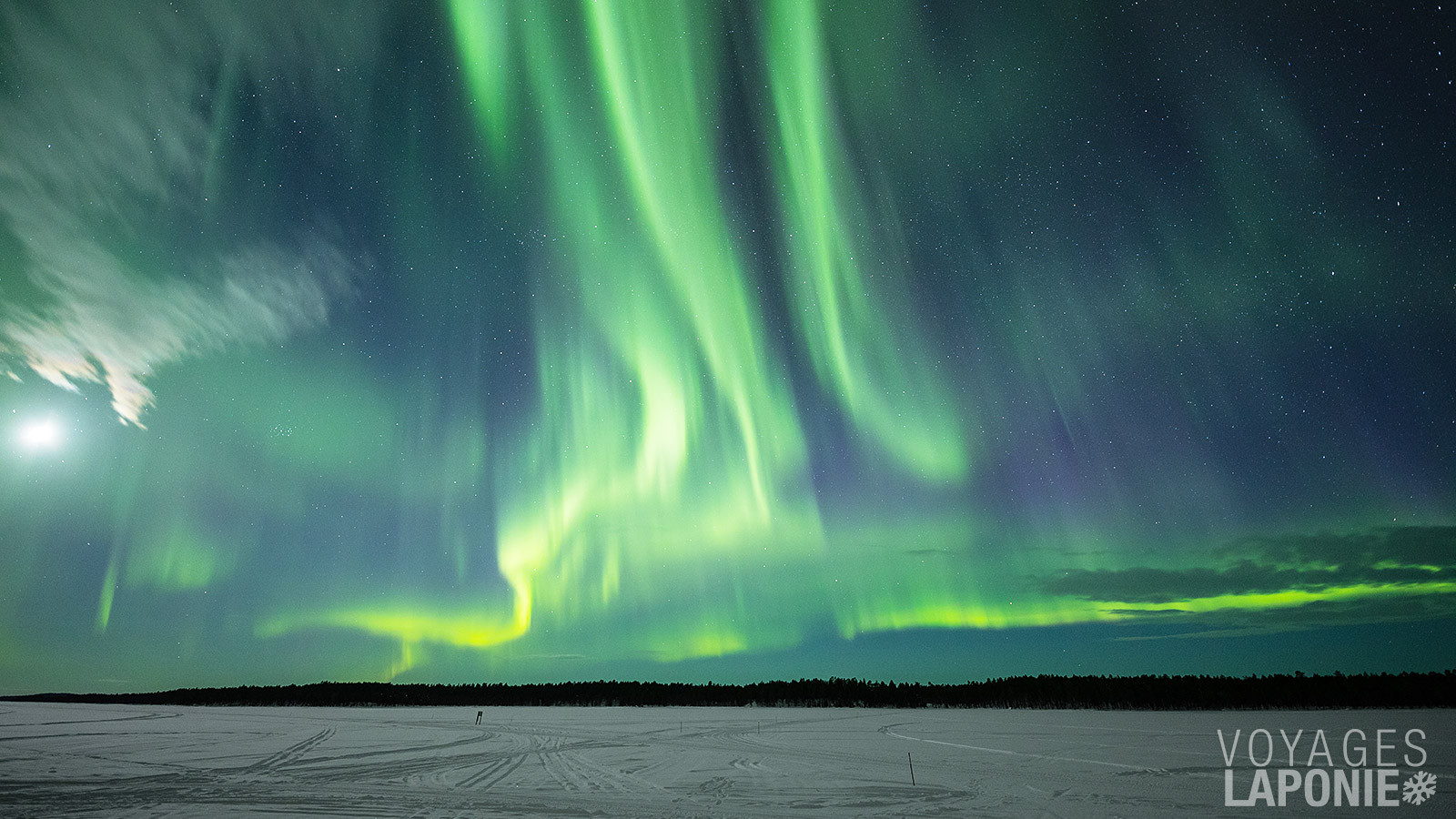 Les aurores boréales offrent un spectacle magique de lumières dansantes dans le ciel nocturne