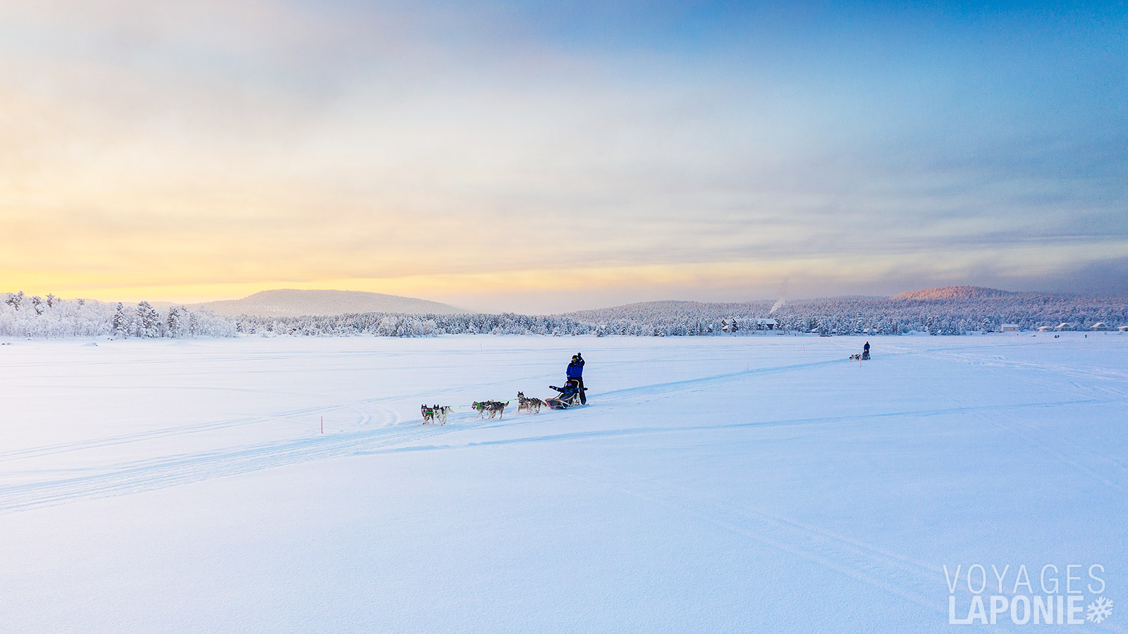 Vivez l’intensité d’un safari en chiens de traîneau au cœur des paysages féeriques de la Laponie finlandaise