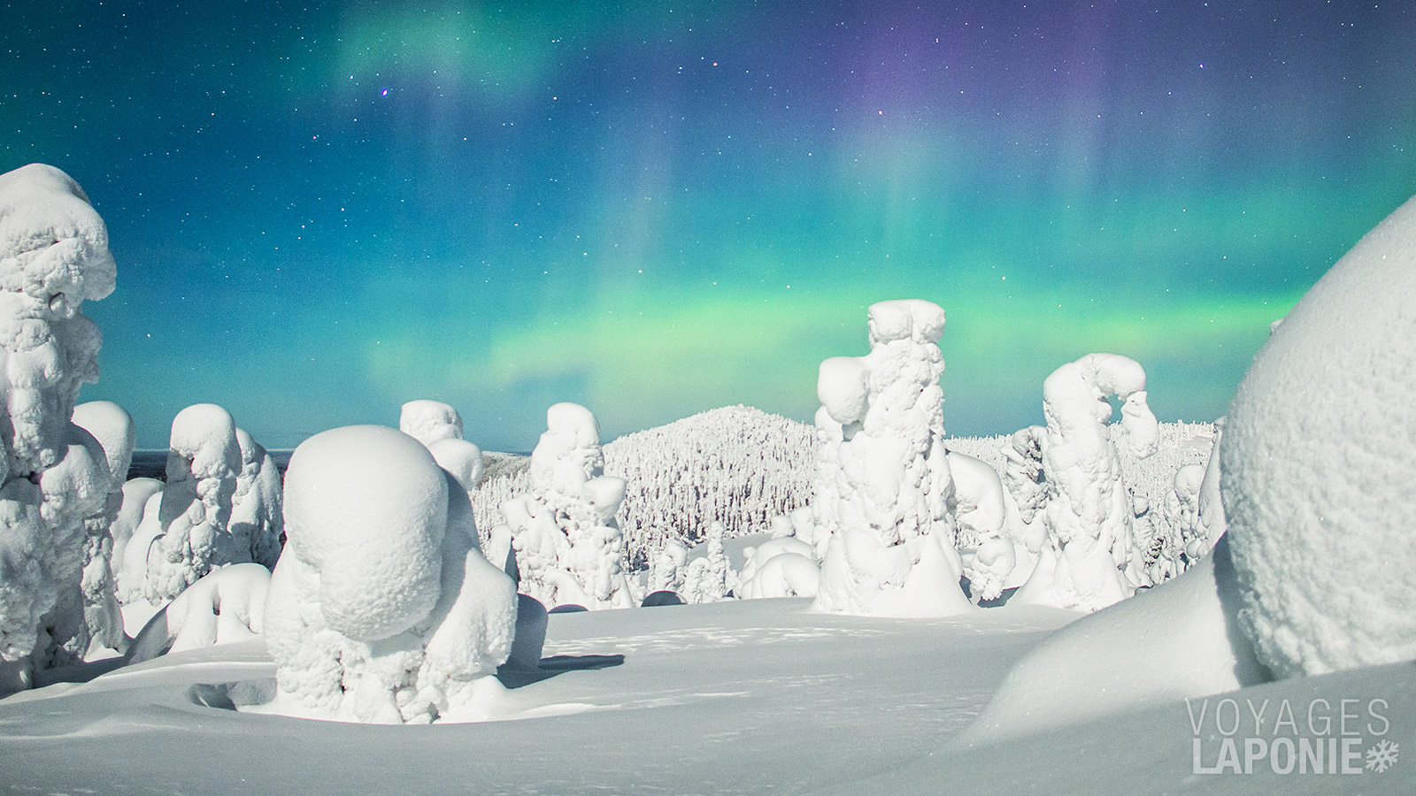 Un spectacle cosmique se déploie lorsque les aurores boréales apparaissent