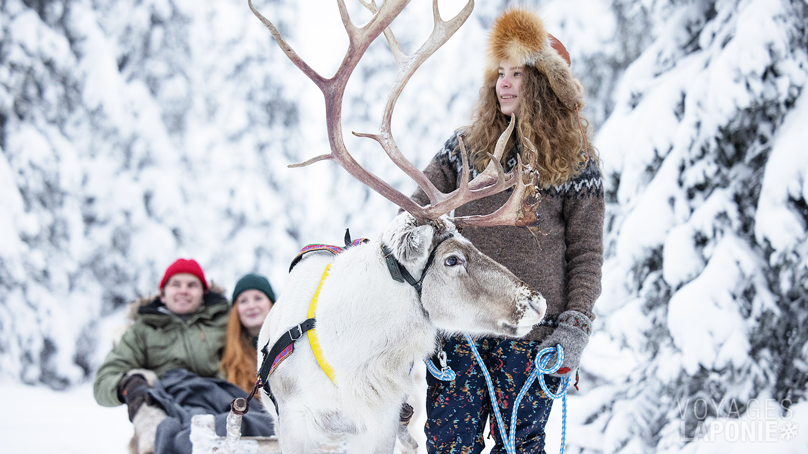 Montez à bord pour un court trajet en traîneau à rennes