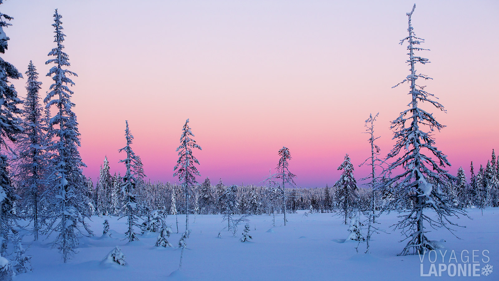 Au lever et au coucher du soleil, le ciel se teinte souvent de rose, de violet ou d’un doux orange