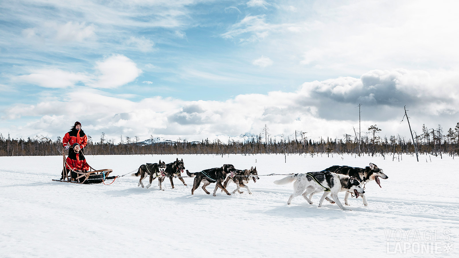 Partez dans la nature en traîneau à chiens tiré par 6 huskys