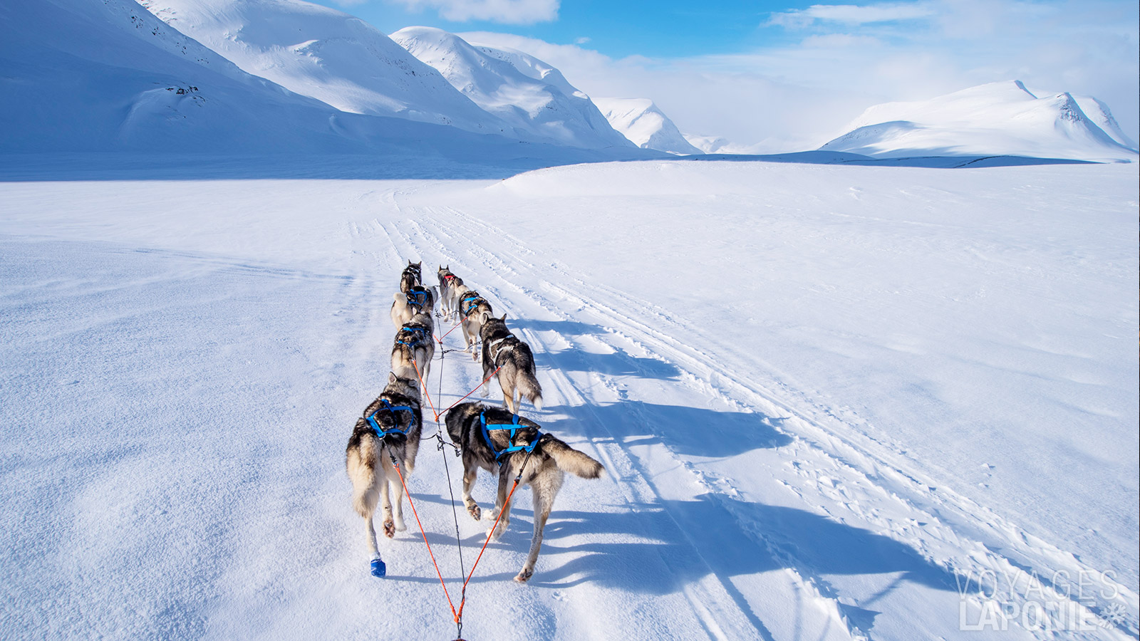 Le premier jour est consacré à une mise en route en douceur, afin que chaque participant puisse s’habituer aux chiens