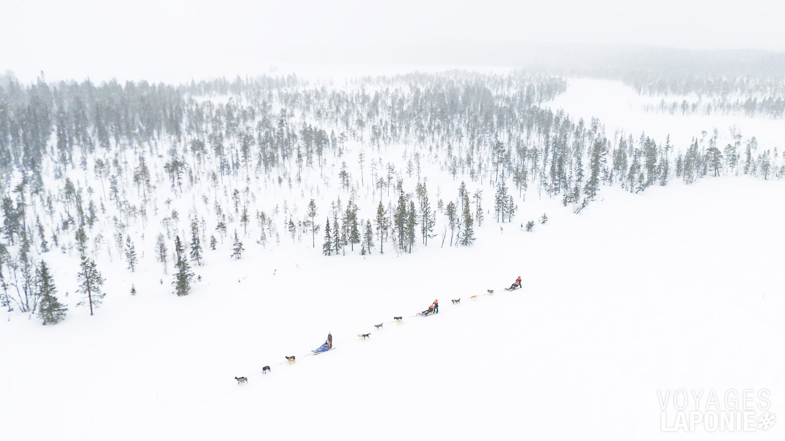 Cette excursion en husky sur plusieurs jours se déroule dans le nord-ouest de la Laponie finlandaise