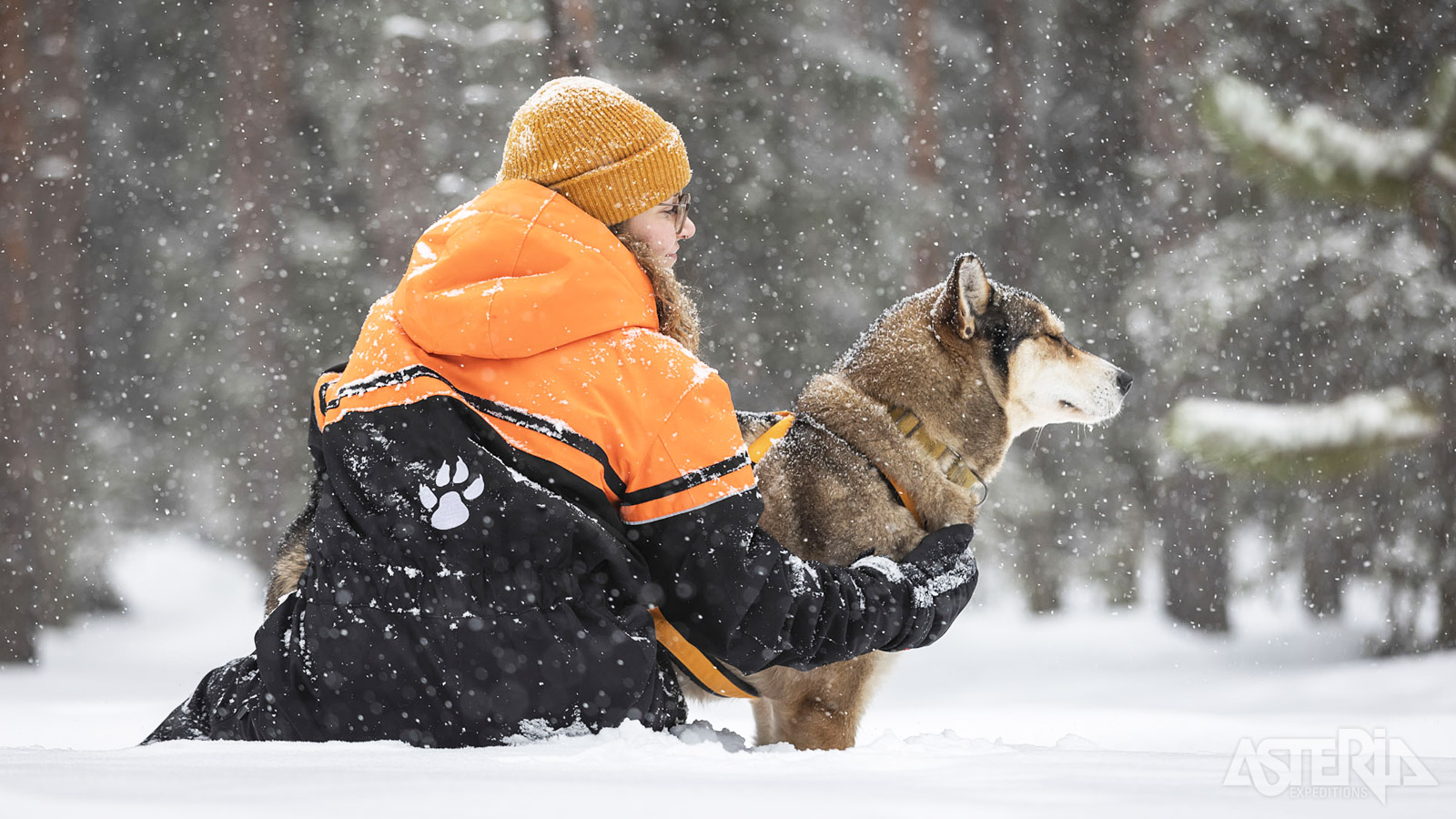 En peu de temps, vous nouez un lien personnel avec votre propre attelage de huskys