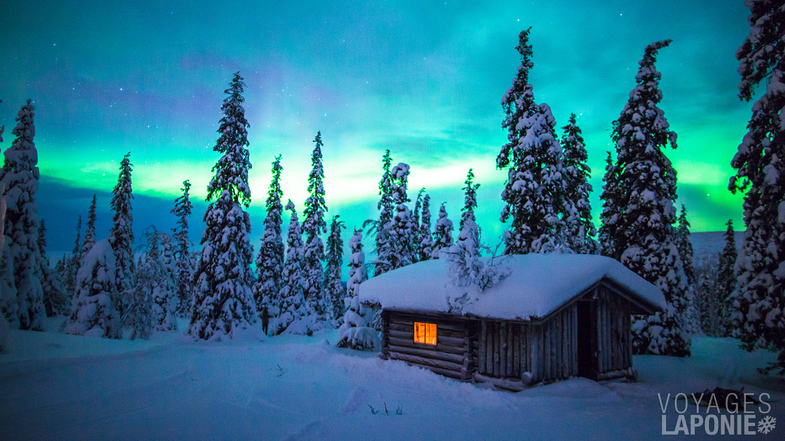 Le point culminant absolu de ce programme est sans aucun doute un safari en traîneau à chiens de 2 jours, avec une nuitée dans un refuge en pleine nature