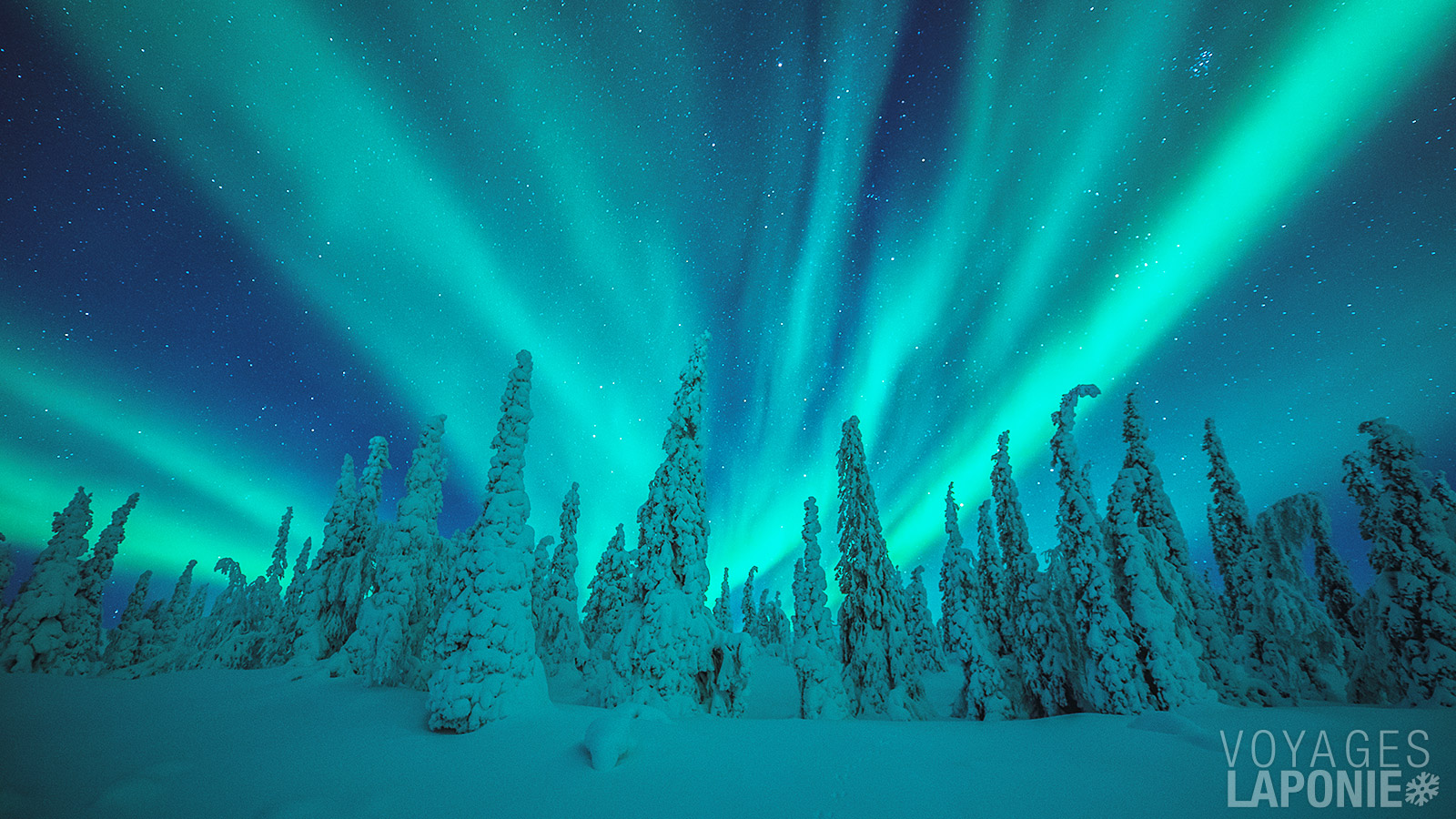 Le Harriniva Adventure Resort est situé loin de la lumière artificielle, ce qui augmente les chances d’observer les aurores boréales