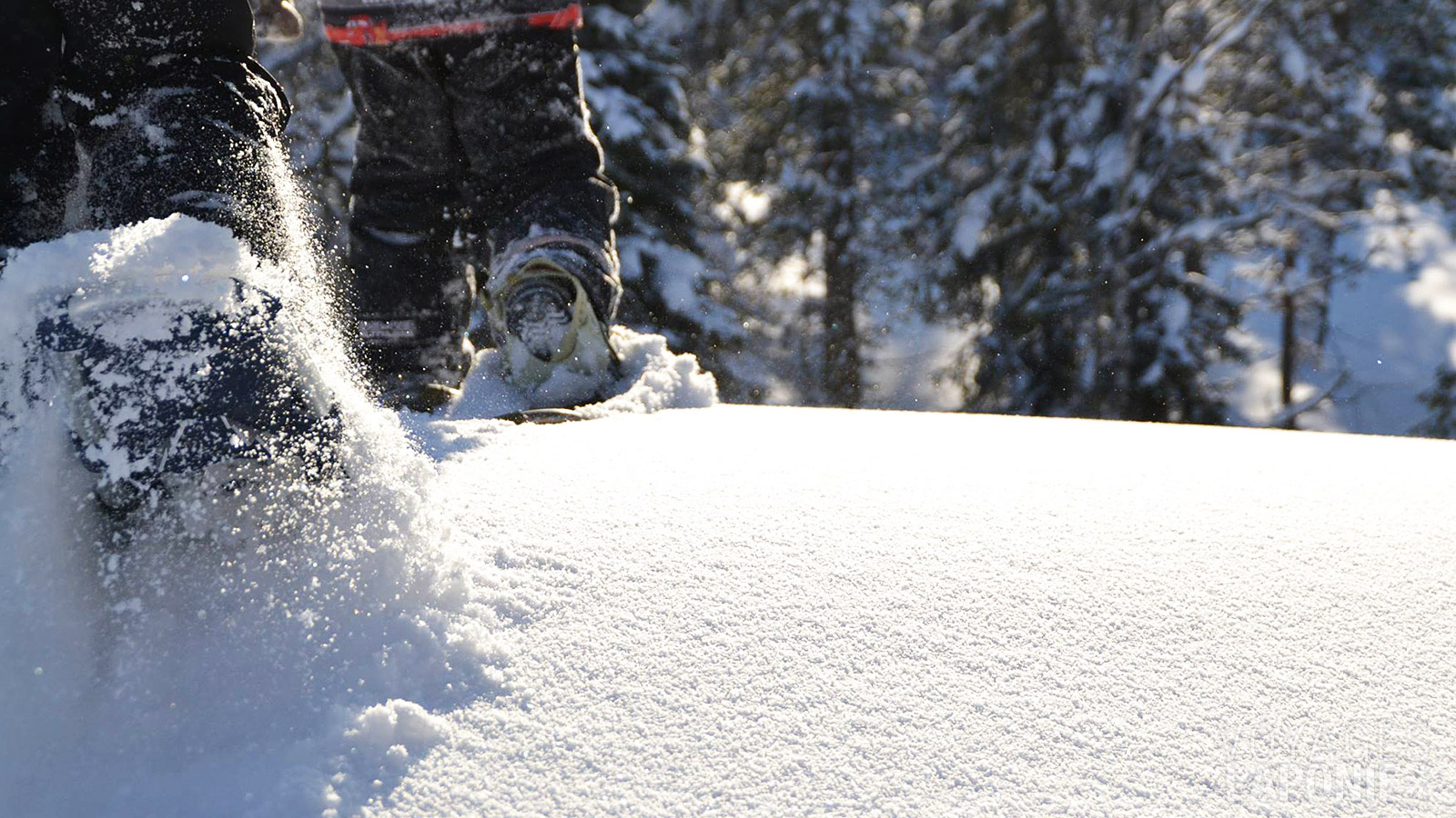 Lors de cette randonnée en raquettes, des chaussures adaptées vous permettront de vous déplacer aisément à travers la neige profonde