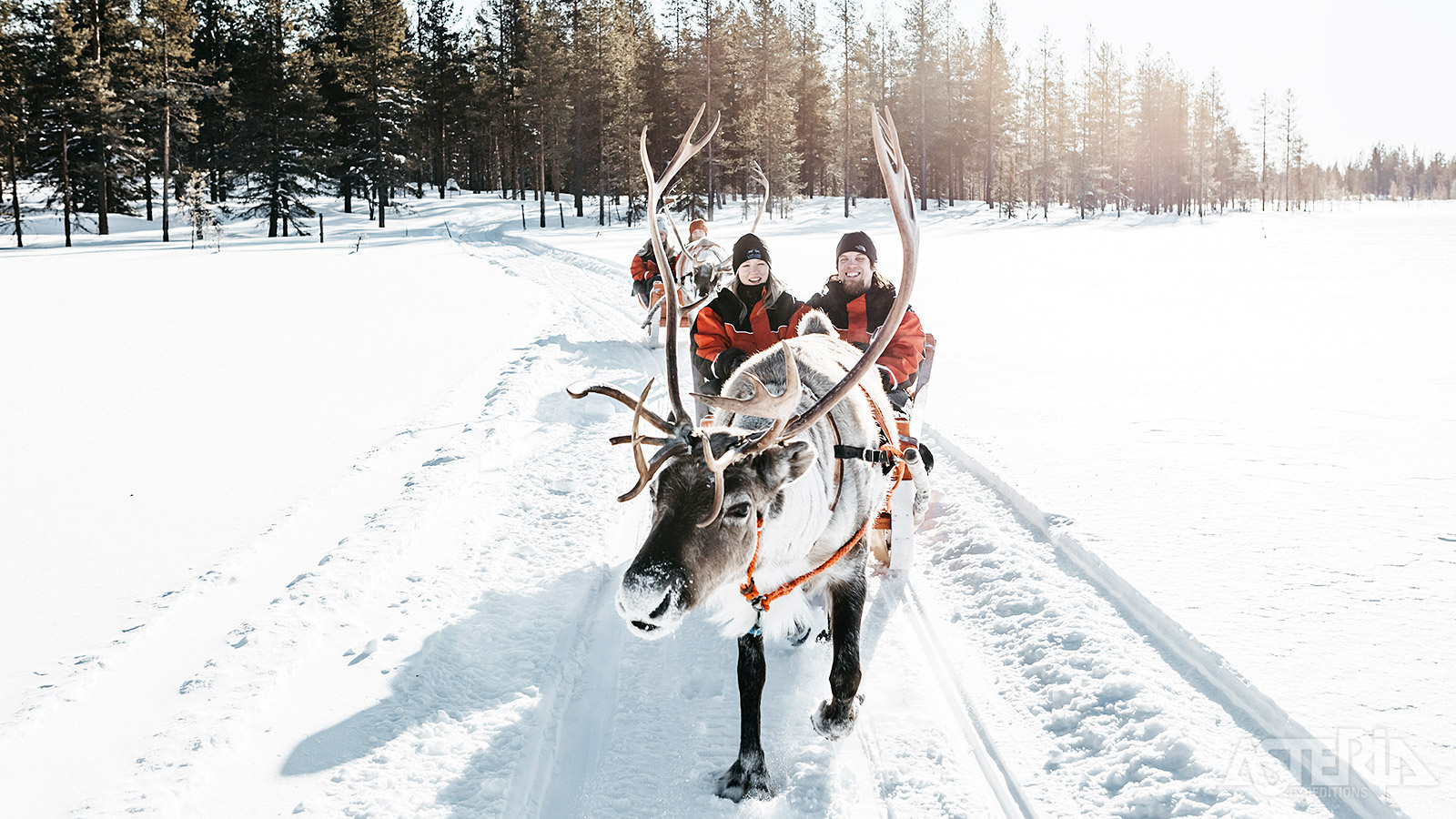 Faites une balade en traîneau à rennes