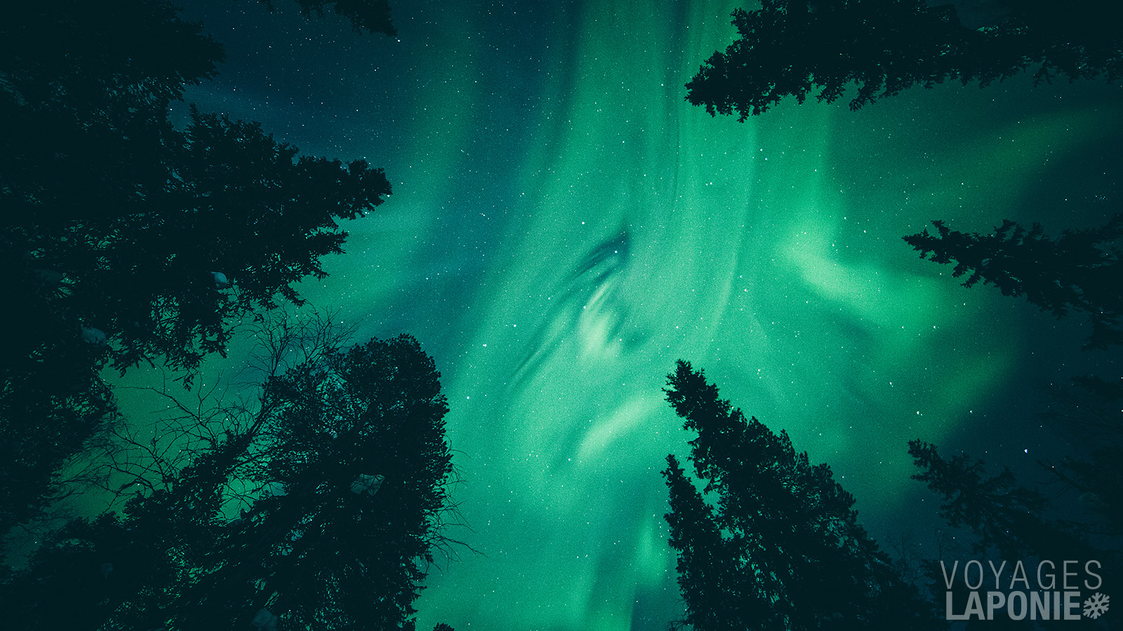 Un moment magique : admirer les aurores boréales de vos propres yeux