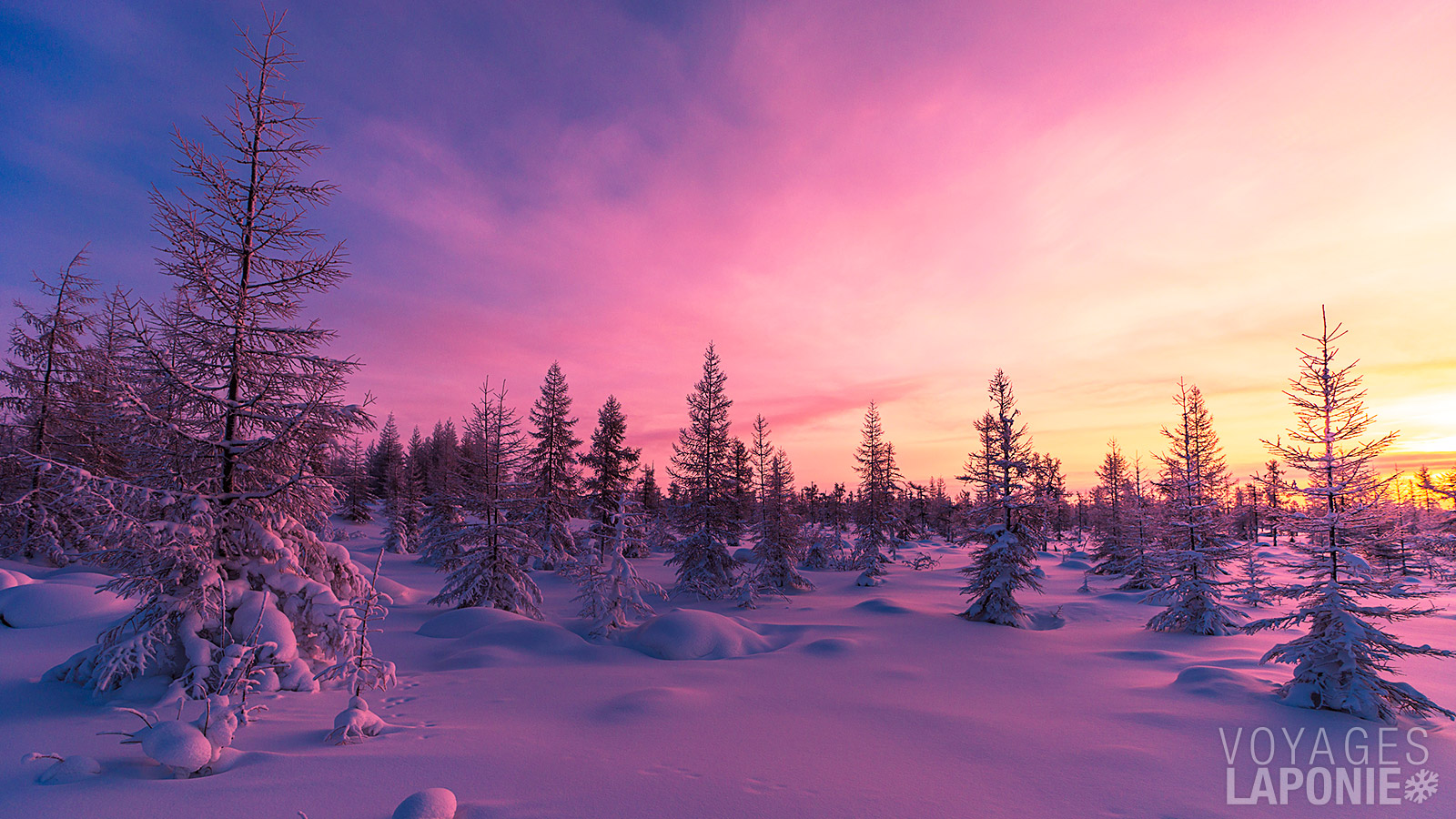 Ce programme constitue une introduction idéale à la Laponie