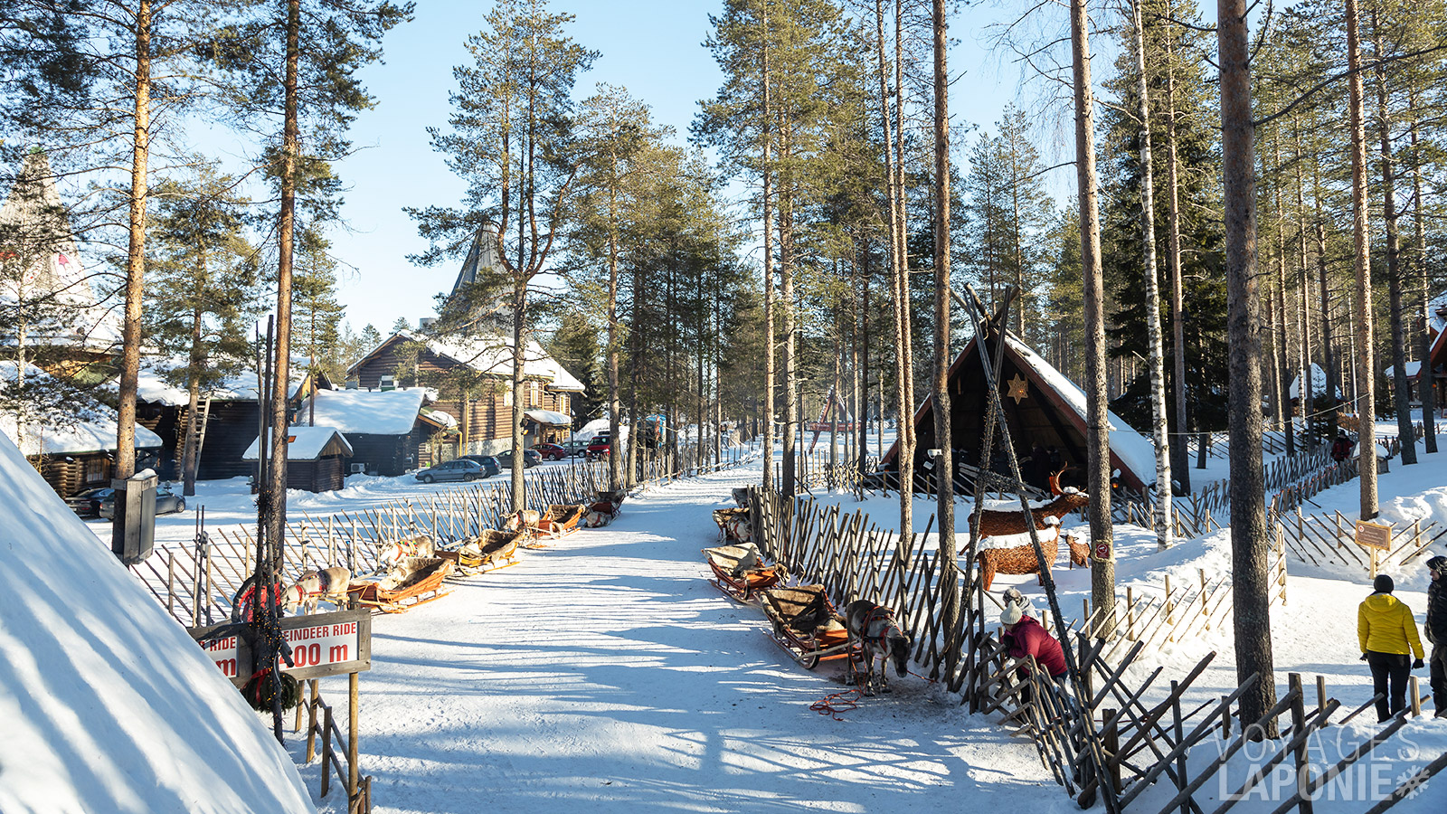Lors de la visite d’une ferme de rennes, vous découvrirez la culture sámi