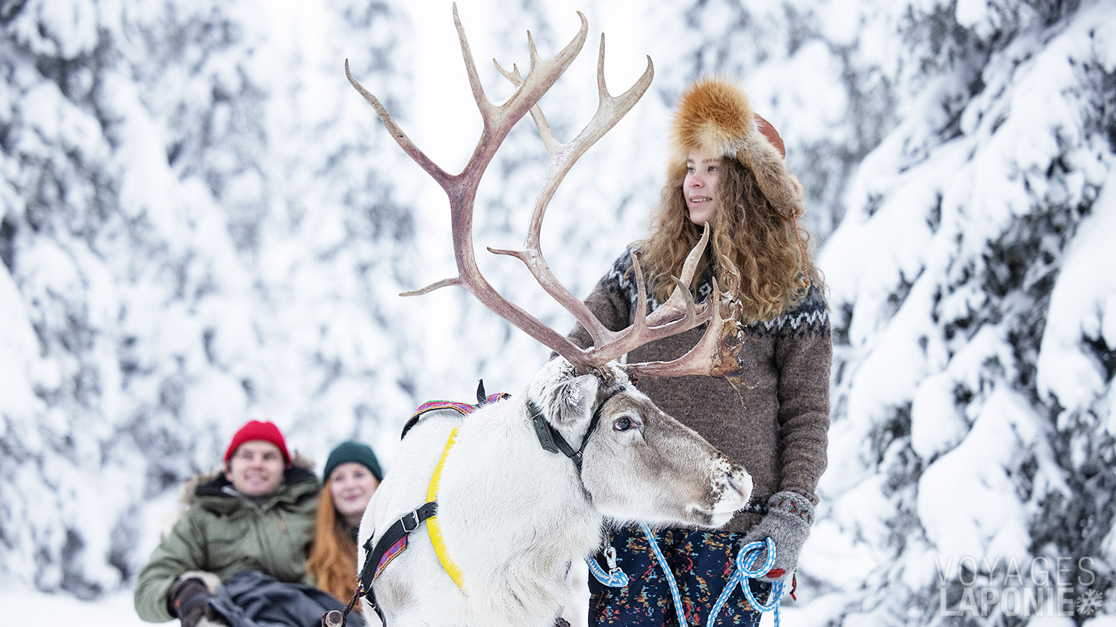 Lors d’une visite à la ferme, vous aurez le plaisir de faire un tour en traîneau tiré par des rennes
