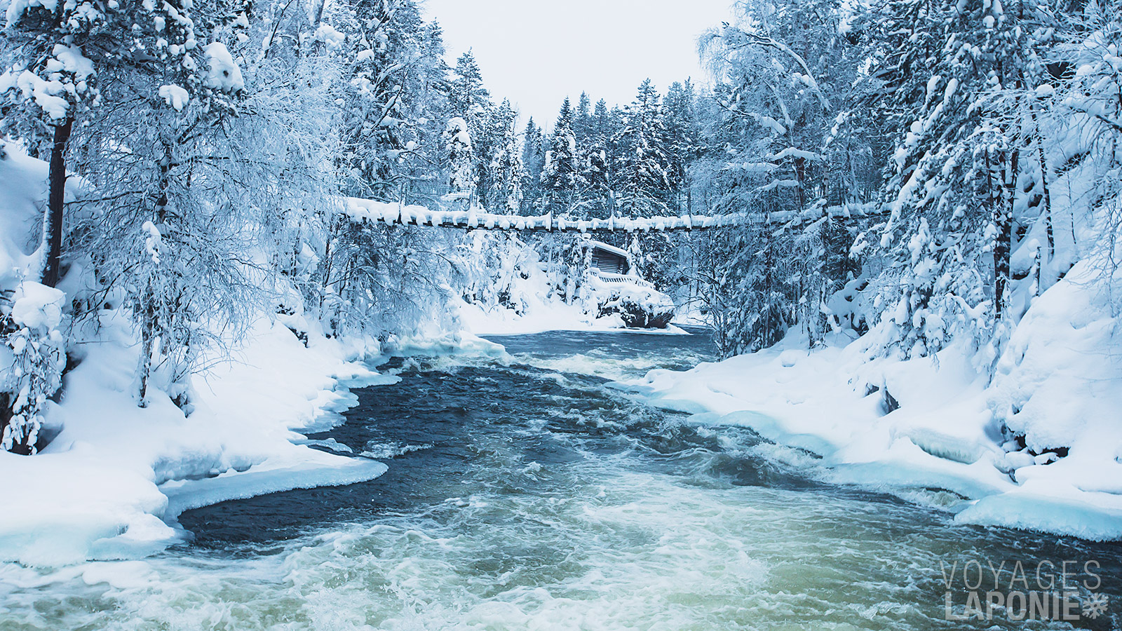 Partez pour une randonnée active dans le parc national d’Oulanka, l’un des plus beaux parcs de Finlande.