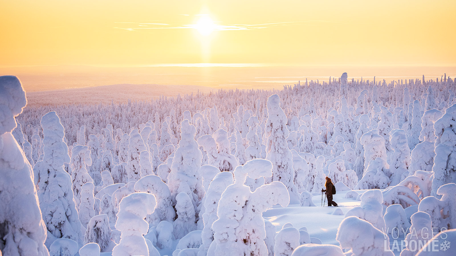 À raquettes à travers la magnifique nature finlandaise