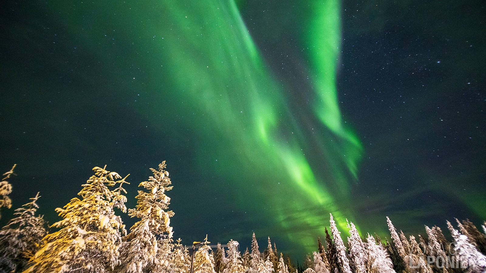 Lors d’un atelier sur les aurores boréales, vous recevrez des astuces et des conseils pour capturer les aurores boréales avec votre appareil photo