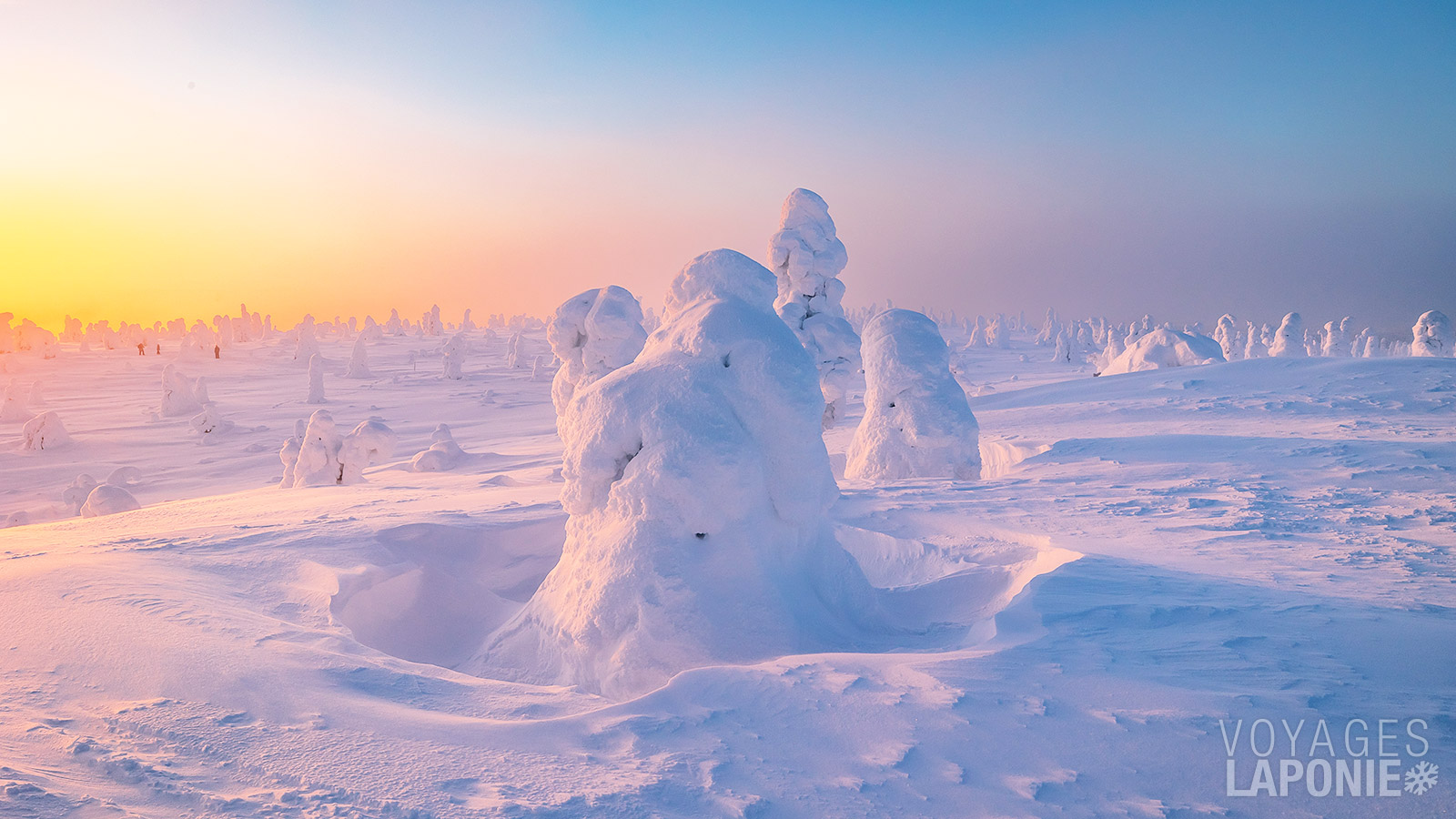 En hiver, le parc national de Riisitunturi se transforme en un véritable pays des merveilles enneigé