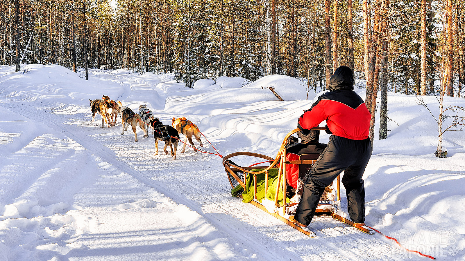 Lors d’une balade en traîneau à huskys de 20 km, vous serez deux par traîneau, avec la possibilité de prendre alternativement les commandes