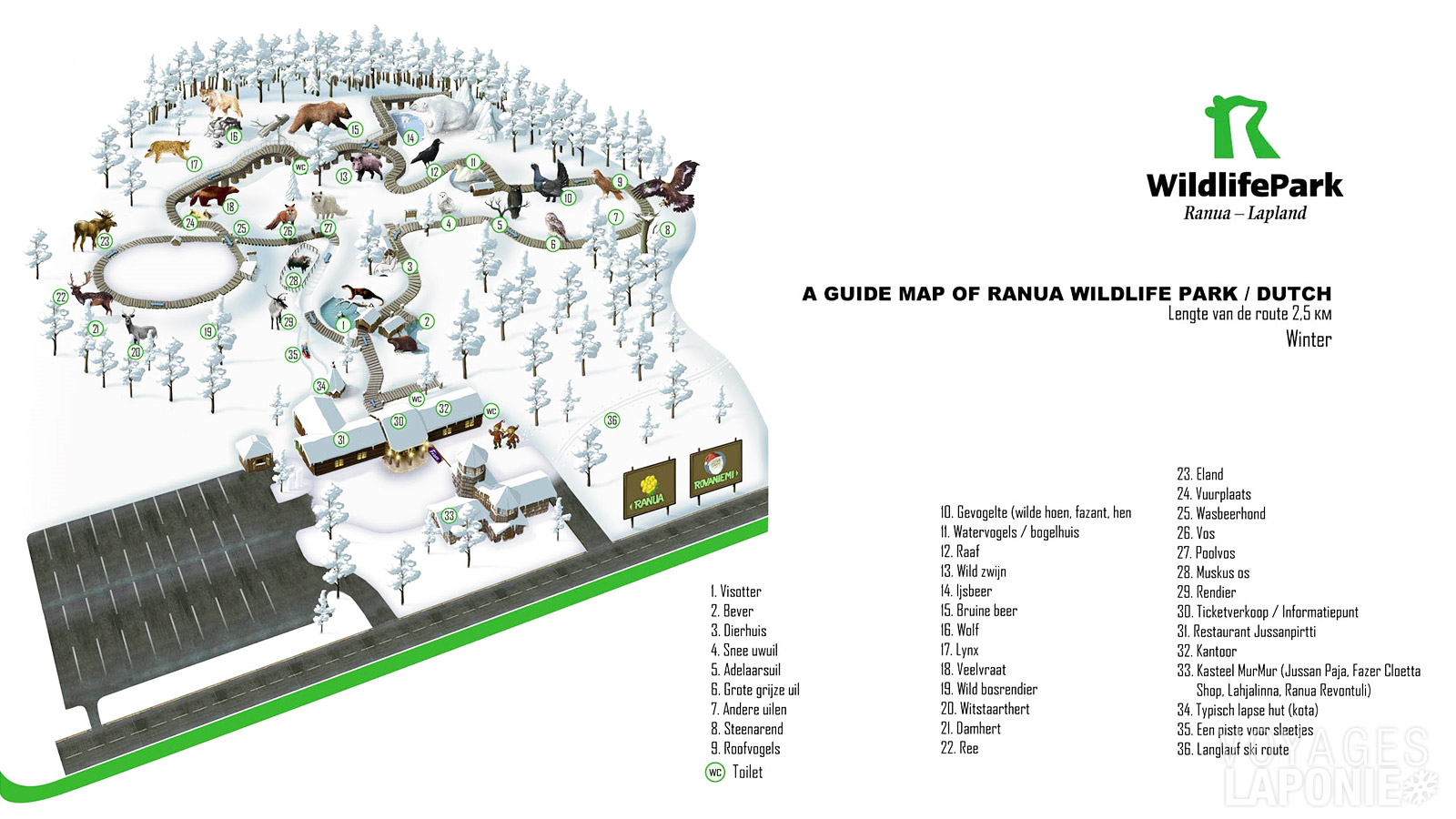 Le parc animalier de Ranua abrite plus de 50 espèces et 200 animaux individuels, tous originaires de la région arctique