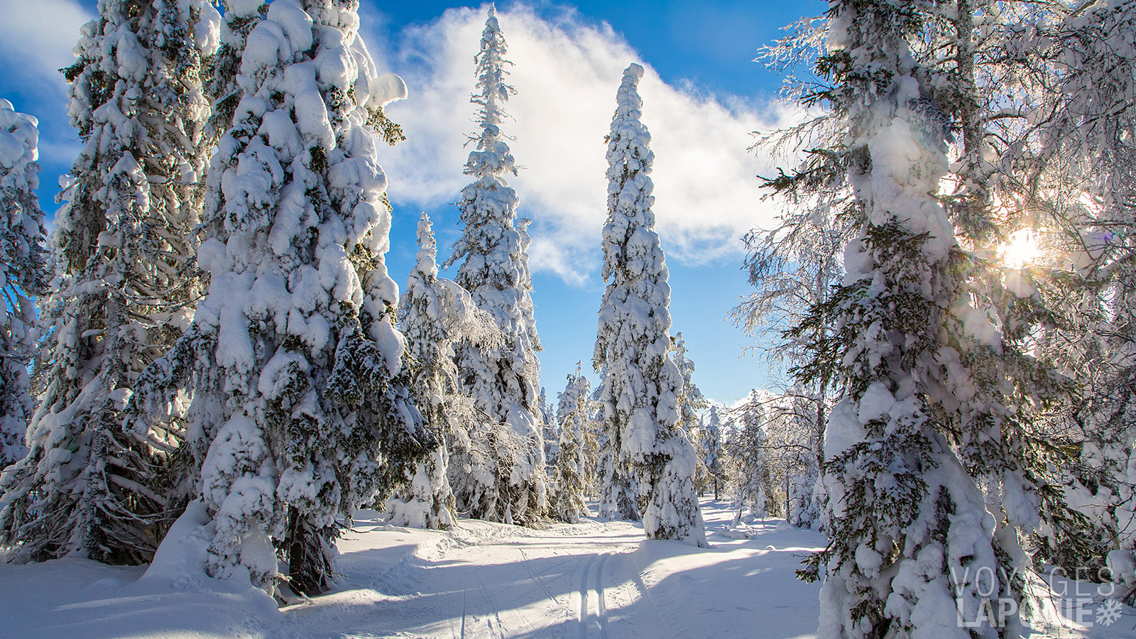 Celui qui recherche à la fois la tranquillité et la découverte de la nature, trouvera certainement son bonheur autour de Posio