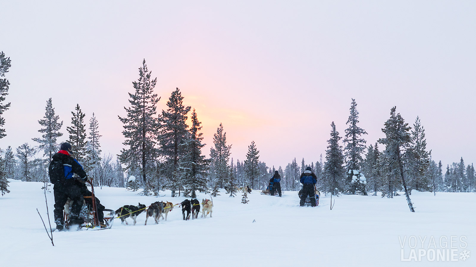 Après les instructions, vous démarrez votre périple en huskys, explorant les merveilles du parc national de Riisitunturi