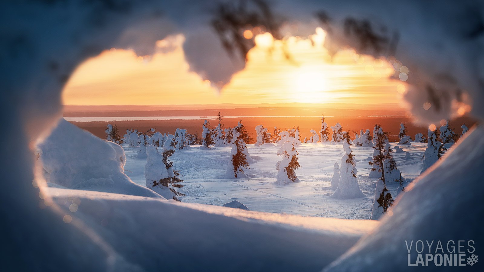 Pendant les mois d’hiver, la neige est si abondante que les arbres ploient sous son poids et que leurs cimes touchent presque le sol