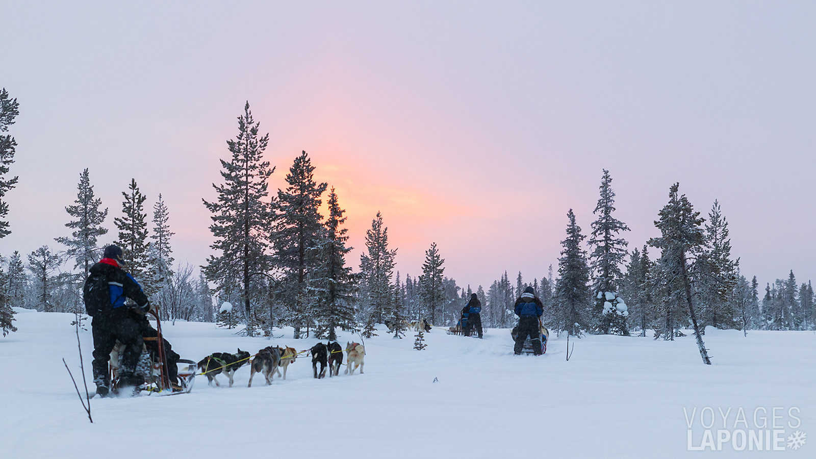 Après les explications nécessaires, vous partez pour une magnifique randonnée en traîneau à chiens dans le parc de Riisitunturi