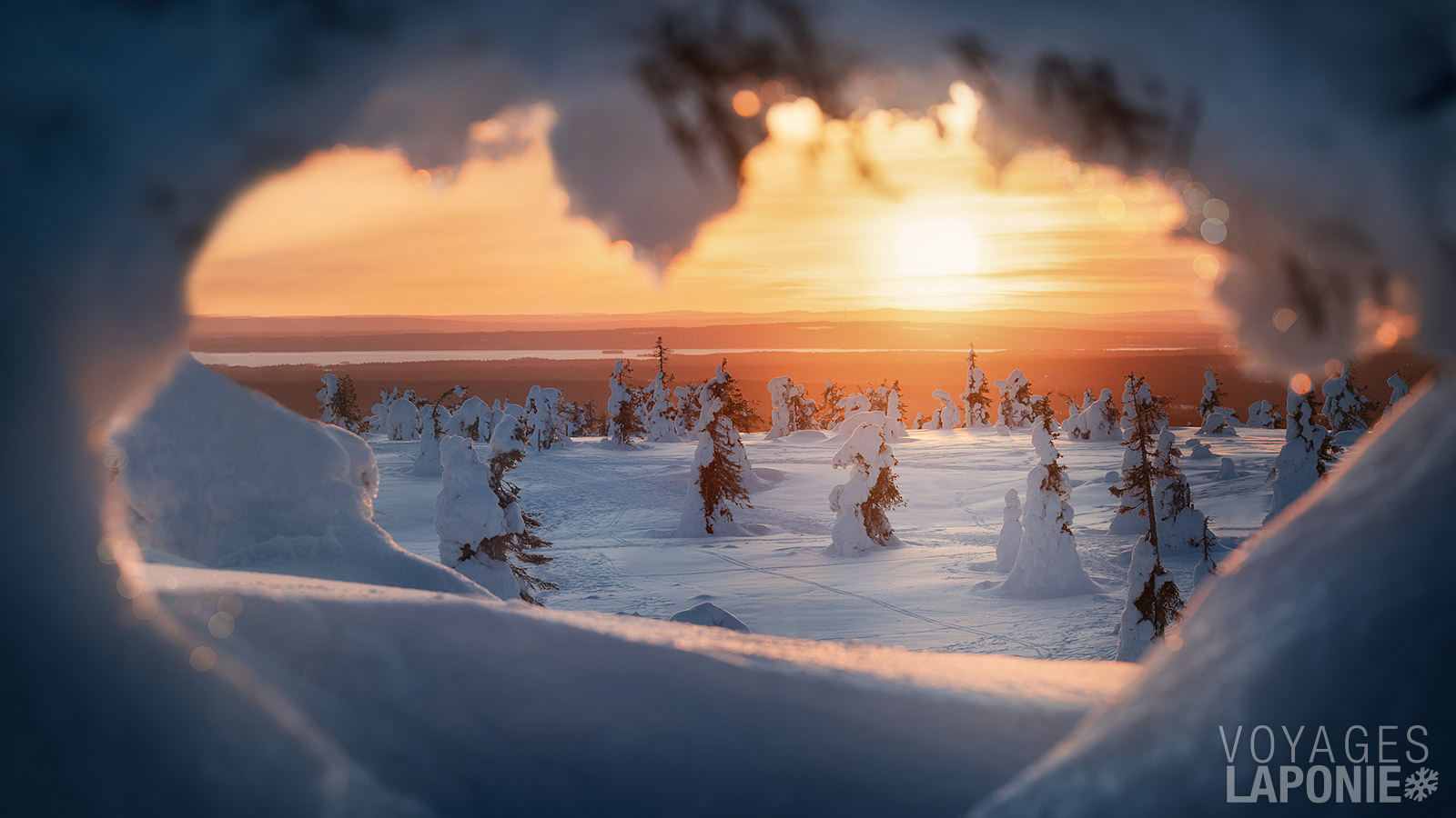 La couche de neige est tellement épaisse pendant les mois d’hiver que les arbres ne peuvent plus supporter son poids