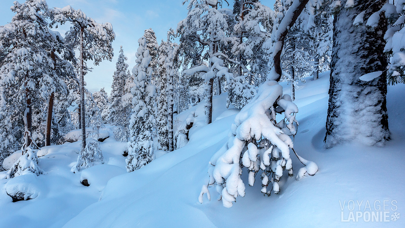 Vivez une aventure mémorable dans l’un des paysages arctiques les plus extraordinaires : le canyon de Korouoma