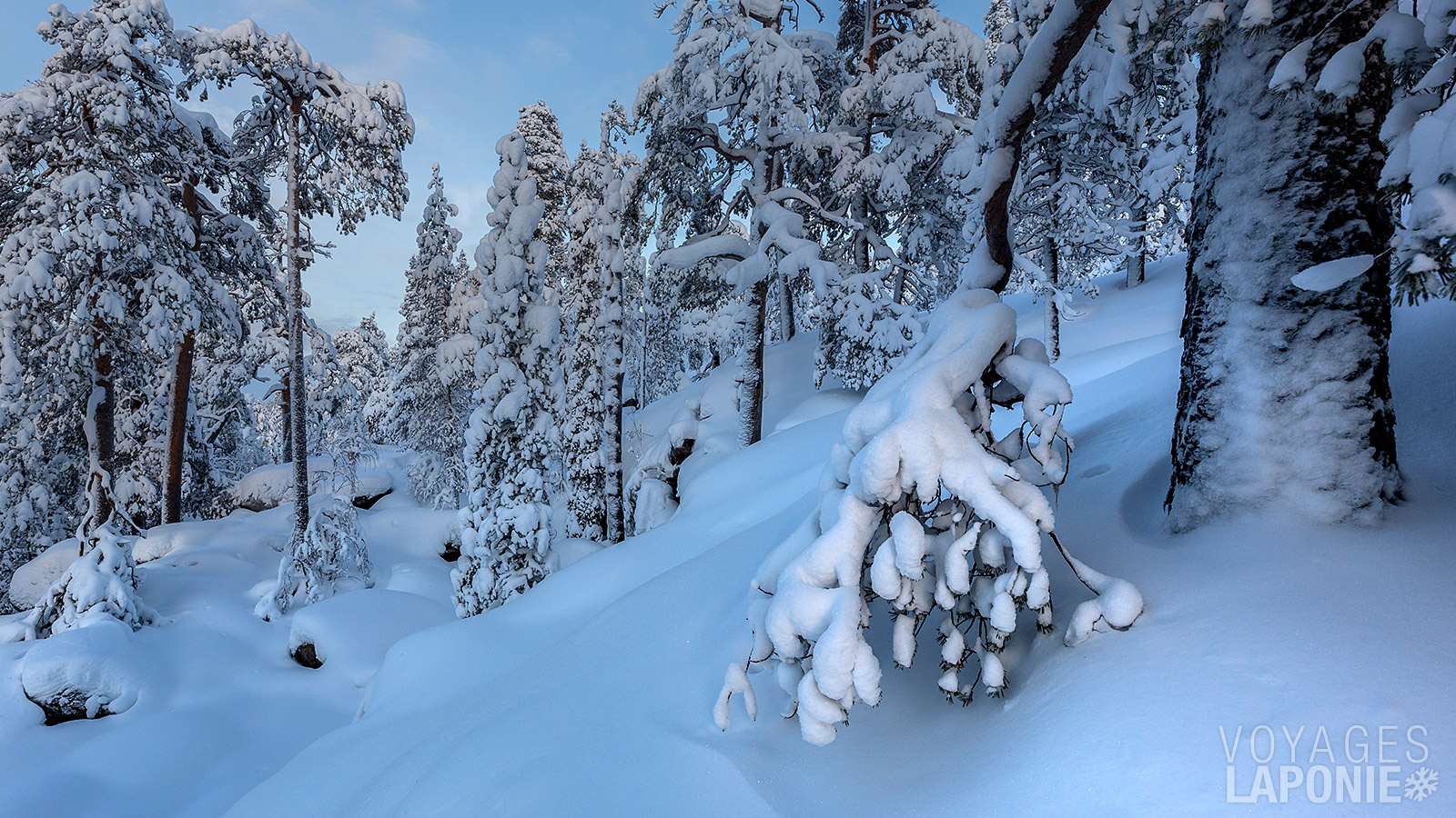 Explorez l’un des paysages arctiques les plus remarquables lors d’une excursion dans la magnifique gorge de Korouoma