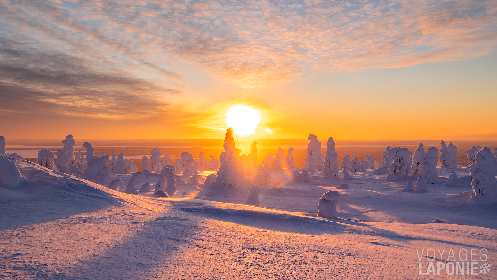 Pendant les mois d’hiver, le parc national Riisintunturi se transforme en un véritable pays des merveilles hivernal surréaliste