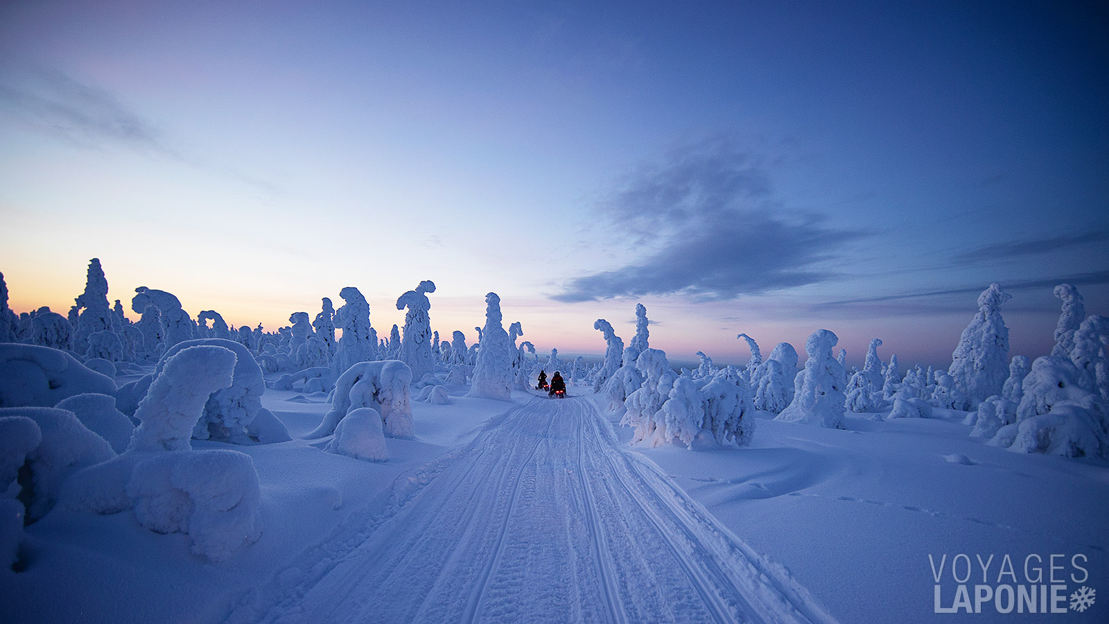 Au cours de votre excursion, vous admirerez de sublimes paysages composés de forêts enneigées et de nombreux lacs gelés autour de Ruka